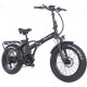 Narrak 48V 750W 13AH 20"x4.0 Fat Tire Step Over Folding Electric Bicycle (Color: Black)