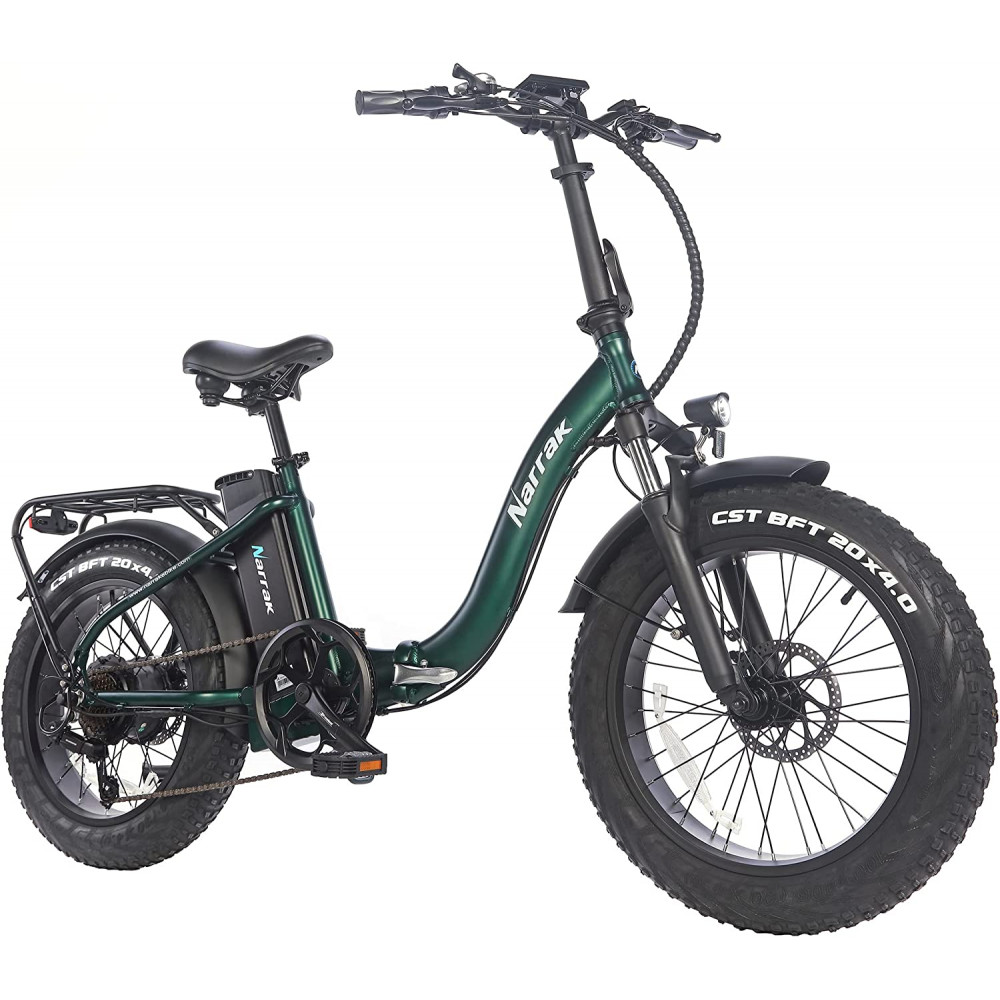 Narrak 48V 500W 13AH 20"x4.0 Fat Tire Step-Thru Folding Electric Bicycle (Color: Green)