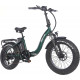 Narrak 48V 750W 13AH 20"x4.0 Fat Tire Step-Thru Folding Electric Bicycle (Color: Green)