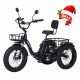 Narrak Folding Electric Tricycle (Color: Black)