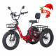Narrak Folding Electric Tricycle (Color: Red)
