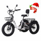 Narrak Folding Electric Tricycle (Color: White)