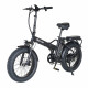 Narrak 48V 750W 13AH 20"x4.0 Fat Tire Step-Over Folding Electric Bicycle (Color: Black) (High-Carbon Steel)