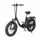 Narrak 48V 750W 13AH 20"x4.0 Fat Tire Step-Thru Folding Electric Bicycle (Color: Black) (High-Carbon Steel)