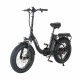 Narrak 48V 750W 13AH 20"x4.0 Fat Tire Step-Thru Folding Electric Bicycle (Color: Black)