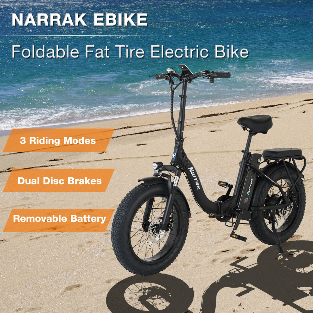 Narrak 48V 750W 13AH 20"x4.0 Fat Tire Step-Thru Folding Electric Bicycle (Color: Black)