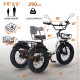 Narrak 48V 750W13AH 20"x4.0 Fat Tire Folding Electric Tricycle ( Model: S180-Black)