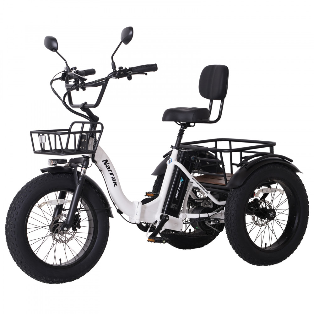 Narrak 48V 750W 13AH 20"x4.0 Fat Tire Step-Thru Folding Electric Tricycle (Color: White)