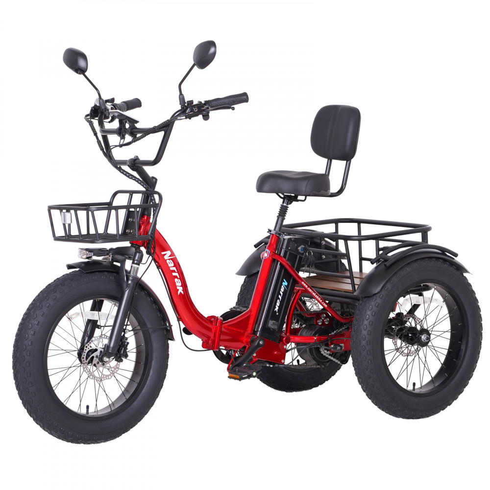 Narrak 48V 750W 13AH 20"x4.0 Fat Tire Step-Thru Folding Electric Tricycle (Color: Red)