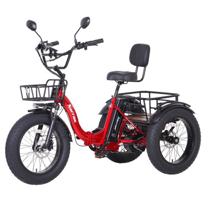 Narrak Folding Electric Tricycle (Color: Red)