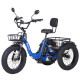 Narrak 48V 750W 13AH 20"x4.0 Fat Tire Step-Thru Folding Electric Tricycle (Color: Blue)