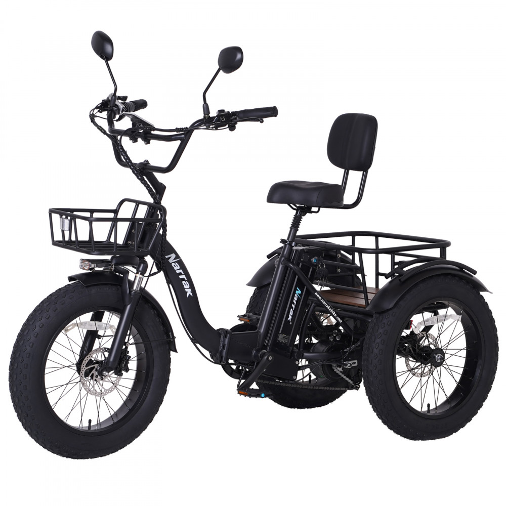 Narrak 48V 750W13AH 20"x4.0 Fat Tire Folding Electric Tricycle ( Model: S180-Black)