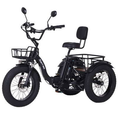 Narrak Folding Electric Tricycle (Color: Black)