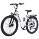 Narrak 48V 750W 13AH 26" Step-Thru Mountain Electric Bicycle (Color: White)	